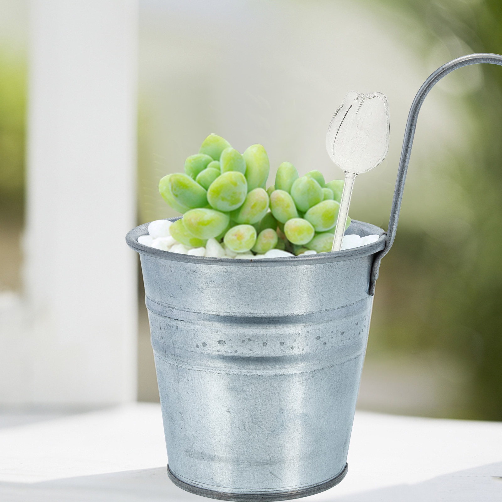 2Pcs Premium High Borosilicate - Self-Watering Planter review and price