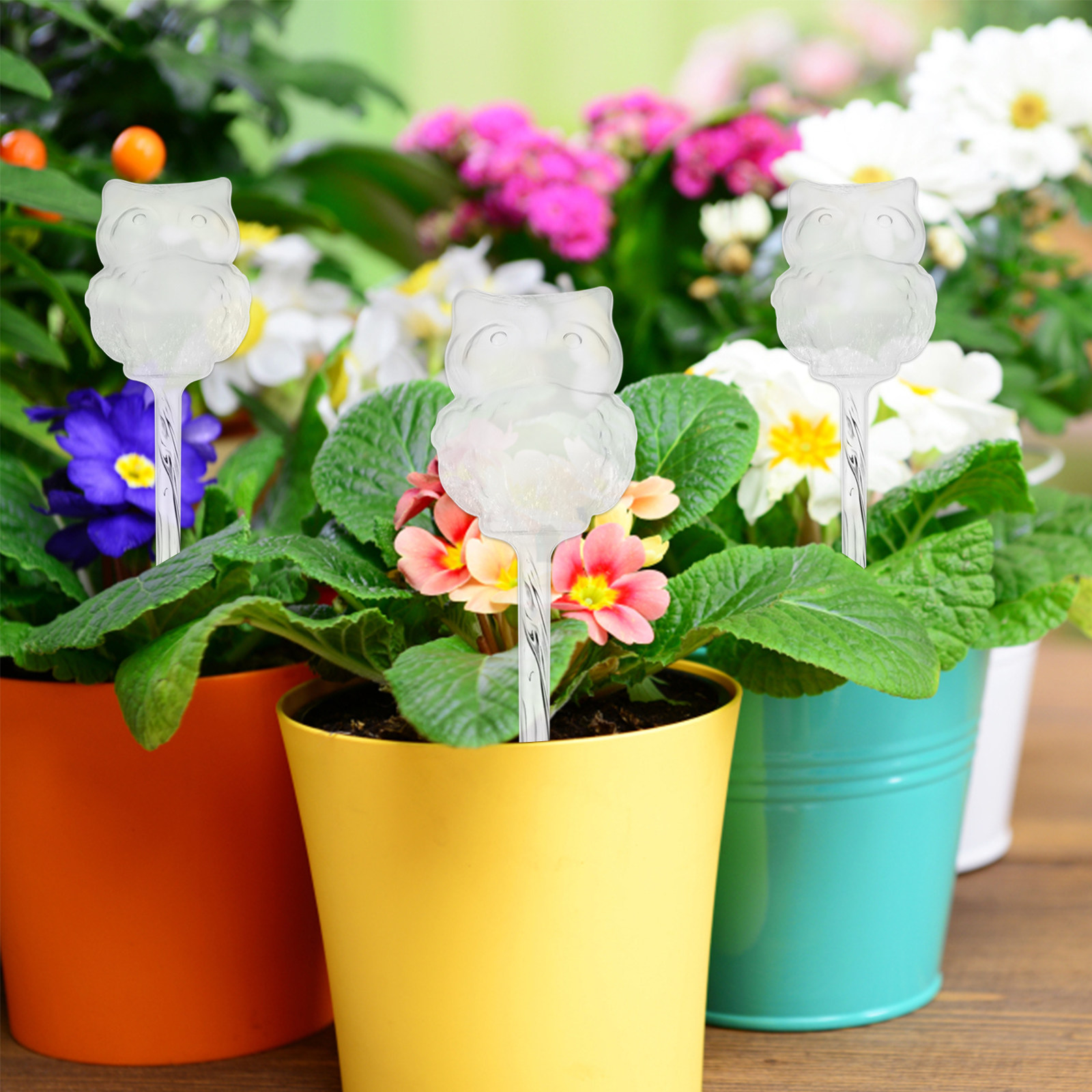4Pcs Automatic Watering Device - Automatic Plant Waterer review and price