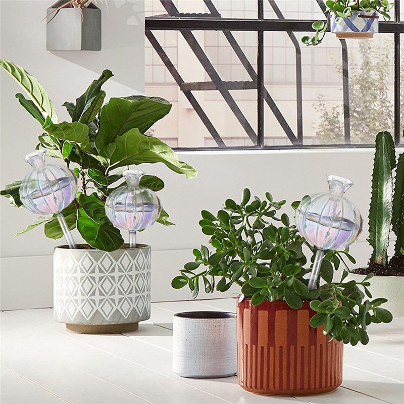 AA94-Plant Watering Bulbs Plan - Self-Watering Planter review and price